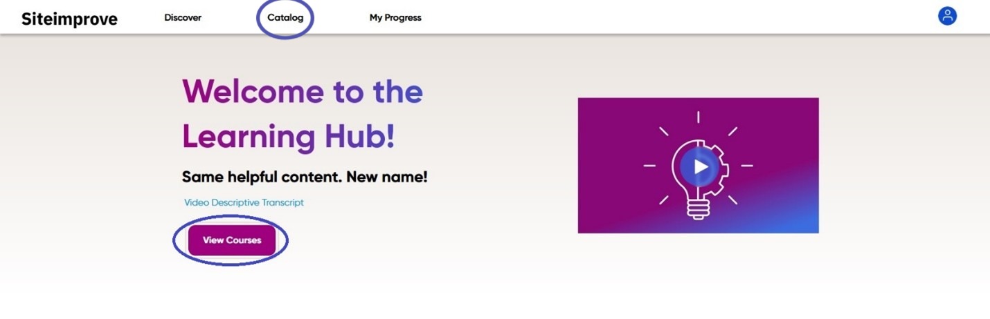 SiteImprove Learning Hub Homepage